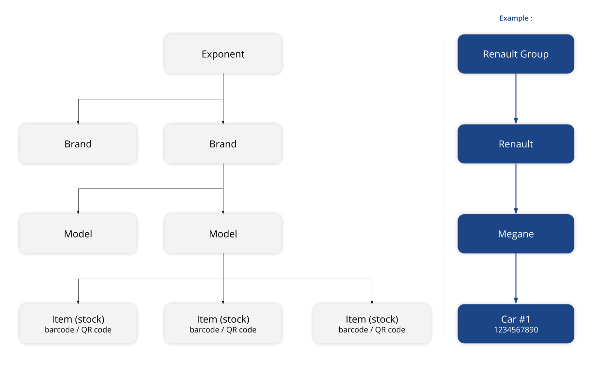 Catalog organization