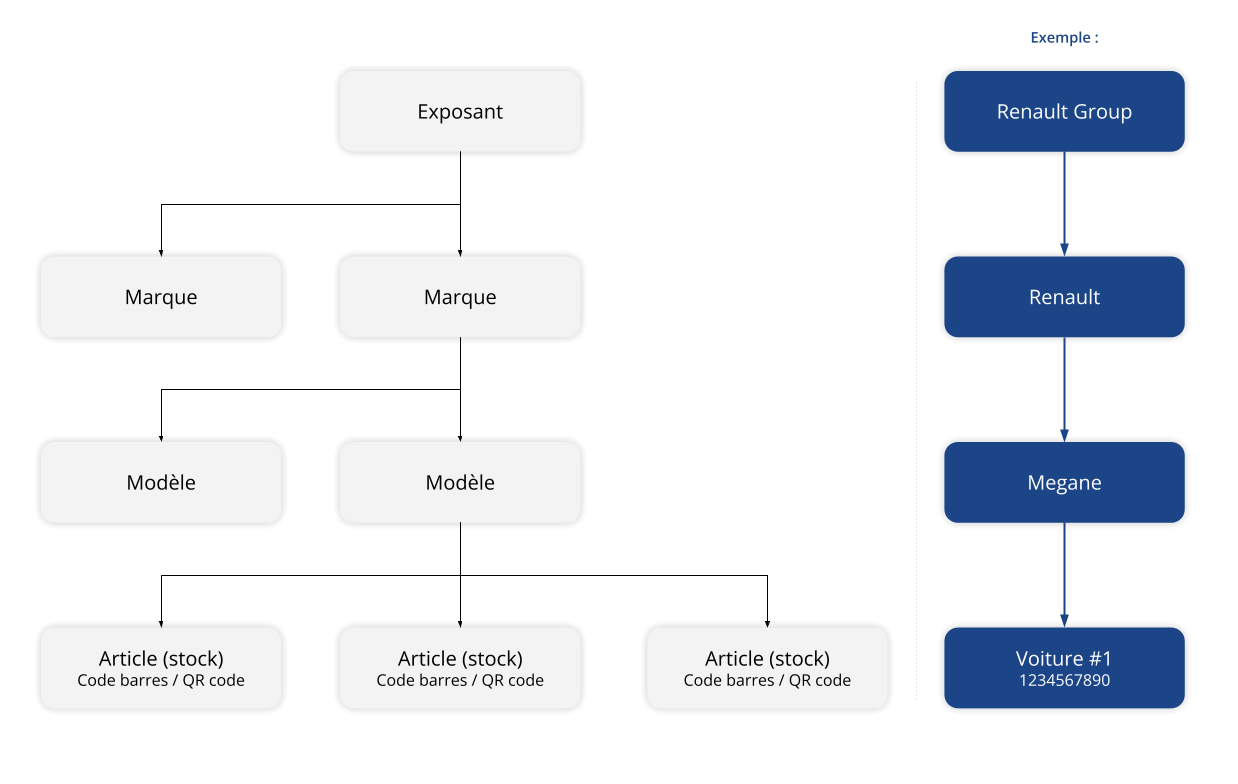 Organisation du catalogue